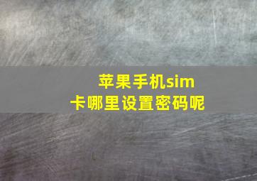 苹果手机sim卡哪里设置密码呢