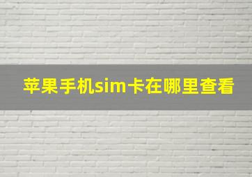 苹果手机sim卡在哪里查看