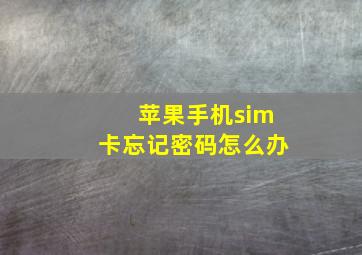 苹果手机sim卡忘记密码怎么办