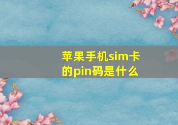 苹果手机sim卡的pin码是什么