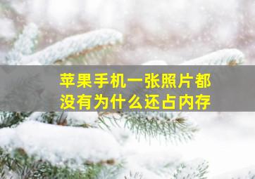 苹果手机一张照片都没有为什么还占内存