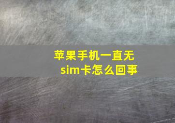 苹果手机一直无sim卡怎么回事