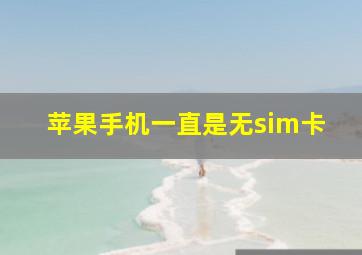 苹果手机一直是无sim卡