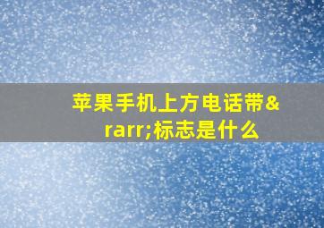 苹果手机上方电话带→标志是什么