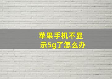 苹果手机不显示5g了怎么办