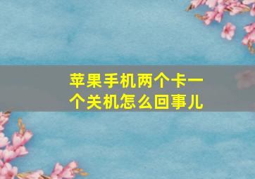 苹果手机两个卡一个关机怎么回事儿