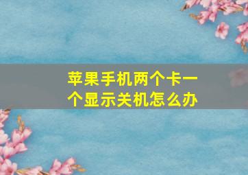 苹果手机两个卡一个显示关机怎么办