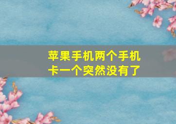 苹果手机两个手机卡一个突然没有了