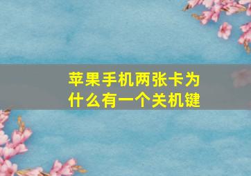 苹果手机两张卡为什么有一个关机键