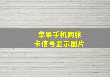 苹果手机两张卡信号显示图片