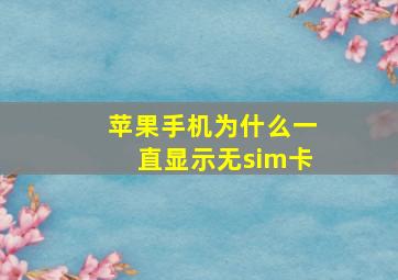 苹果手机为什么一直显示无sim卡