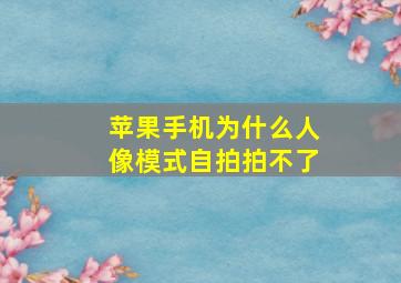 苹果手机为什么人像模式自拍拍不了