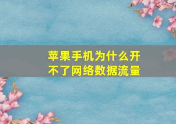 苹果手机为什么开不了网络数据流量