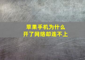 苹果手机为什么开了网络却连不上