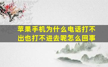 苹果手机为什么电话打不出也打不进去呢怎么回事