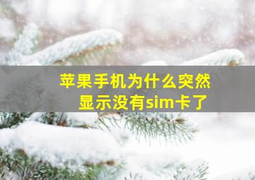 苹果手机为什么突然显示没有sim卡了