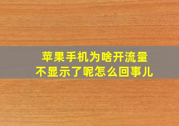 苹果手机为啥开流量不显示了呢怎么回事儿