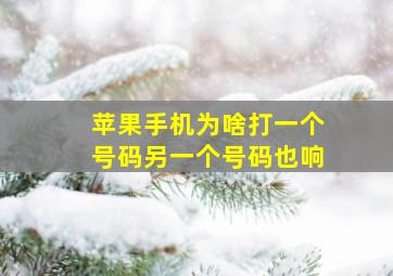 苹果手机为啥打一个号码另一个号码也响