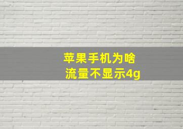 苹果手机为啥流量不显示4g