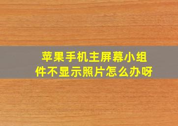 苹果手机主屏幕小组件不显示照片怎么办呀