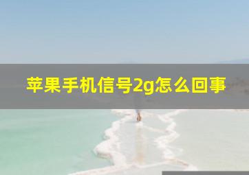 苹果手机信号2g怎么回事