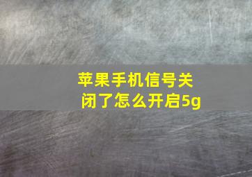 苹果手机信号关闭了怎么开启5g