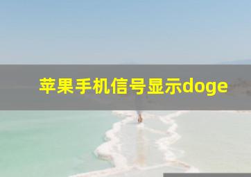 苹果手机信号显示doge