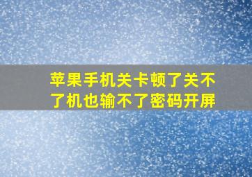 苹果手机关卡顿了关不了机也输不了密码开屏