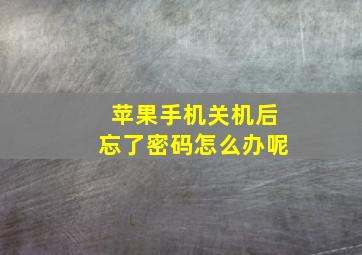 苹果手机关机后忘了密码怎么办呢