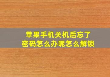 苹果手机关机后忘了密码怎么办呢怎么解锁