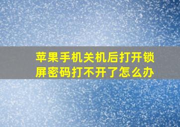 苹果手机关机后打开锁屏密码打不开了怎么办