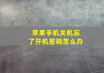 苹果手机关机忘了开机密码怎么办