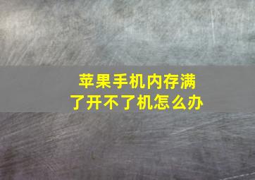 苹果手机内存满了开不了机怎么办