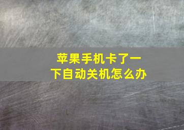 苹果手机卡了一下自动关机怎么办