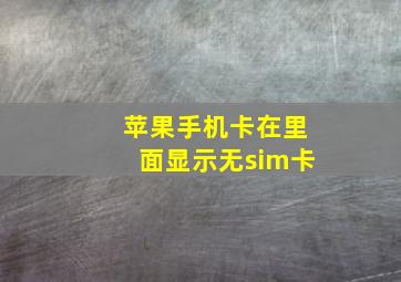 苹果手机卡在里面显示无sim卡