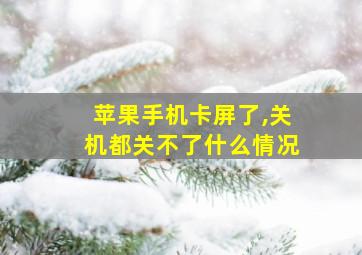 苹果手机卡屏了,关机都关不了什么情况