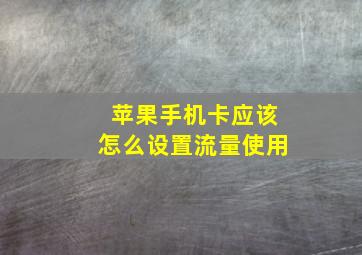 苹果手机卡应该怎么设置流量使用