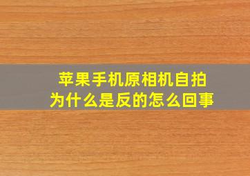 苹果手机原相机自拍为什么是反的怎么回事