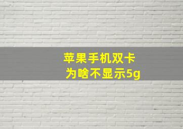 苹果手机双卡为啥不显示5g