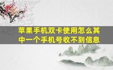 苹果手机双卡使用怎么其中一个手机号收不到信息