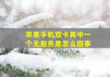 苹果手机双卡其中一个无服务是怎么回事