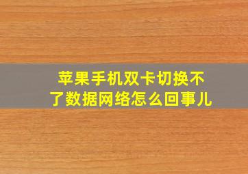 苹果手机双卡切换不了数据网络怎么回事儿