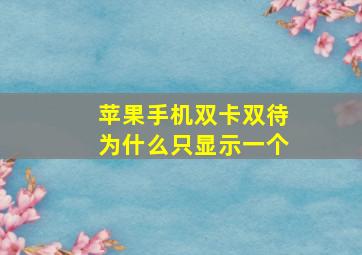 苹果手机双卡双待为什么只显示一个