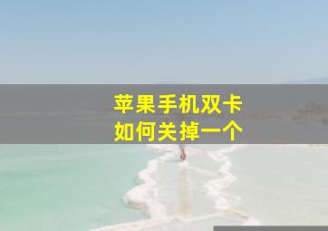 苹果手机双卡如何关掉一个