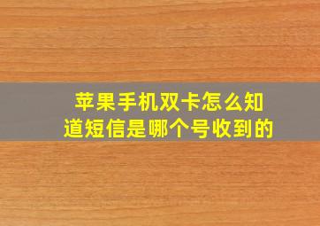 苹果手机双卡怎么知道短信是哪个号收到的