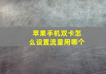 苹果手机双卡怎么设置流量用哪个