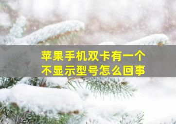 苹果手机双卡有一个不显示型号怎么回事