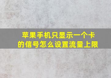 苹果手机只显示一个卡的信号怎么设置流量上限