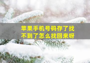 苹果手机号码存了找不到了怎么找回来呀