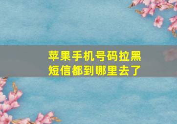 苹果手机号码拉黑短信都到哪里去了